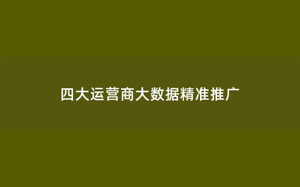 四大运营商大数据精准推广