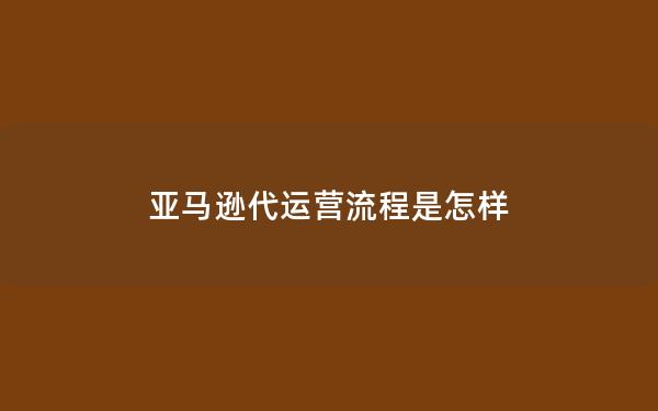 亚马逊代运营流程是怎样