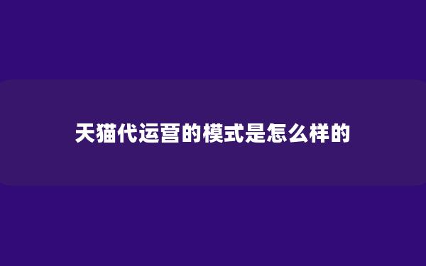 天猫代运营的模式是怎么样的